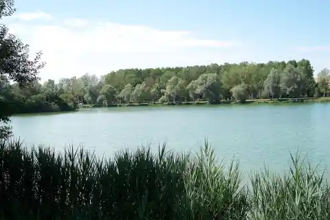 Le lac de Paisy-Cosdon, dans l'Aube