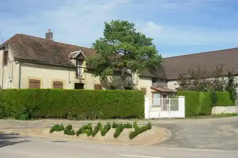 Vue de Planty