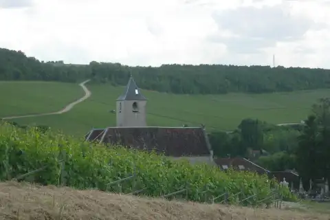 Viviers-sur-Artaut