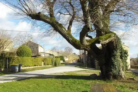 Vue de Brousses-et-Villaret
