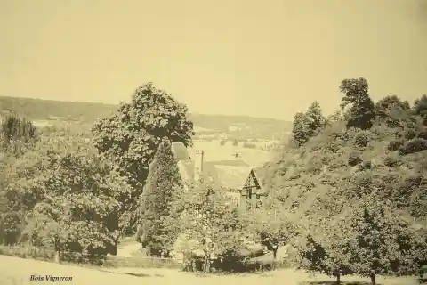 Vue de Saint-Martin-de-Bienfaite-la-Cressonnière