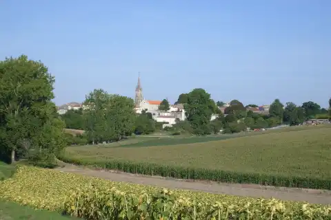 La campagne à Chenac-Saint-Seurin-d'Uzet Charente-Maritime, France