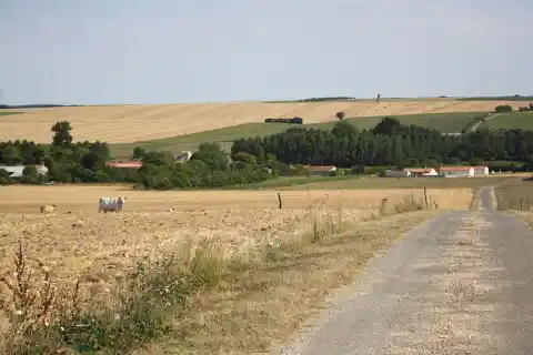 Pâturage, Saint-Pierre-de-Juillers