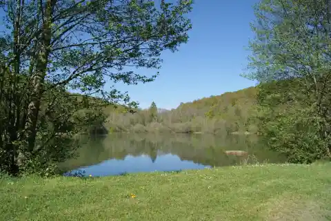 L'ÉTANG DE VERNOIS-LES-VESVRES