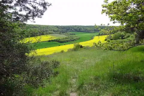 Vue de Boncourt