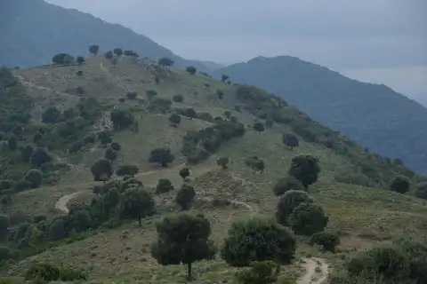 Vue de Sorbollano
