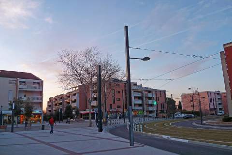 L'avenue des Pins à Blagnac (Haute-Garonne, France)