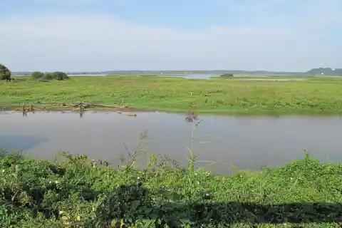 Marais d'Orx (Landes)