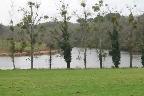 Extrémité nord de l'étang de Pen Mur, à Muzillac (Morbihan), près de la chapelle du Moustéro