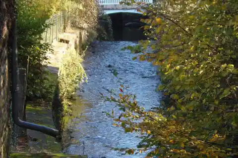 Saint-Pierre-du-Regard (Normandie, France). La Vère