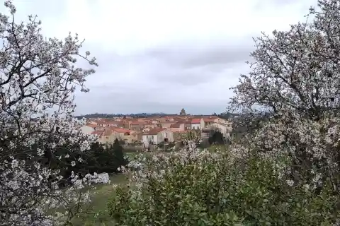 Vue de Trouillas depuis le belvédère