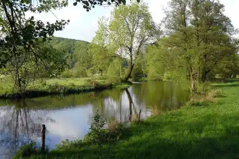 Le Breuchin à La Proiselière-et-Langle