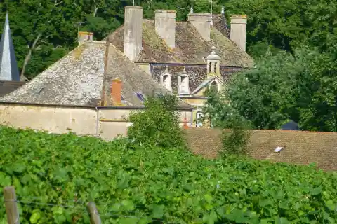 Vue du château de Sassangy en été dans les vignes