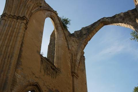 Vue de Dammarie-les-Lys