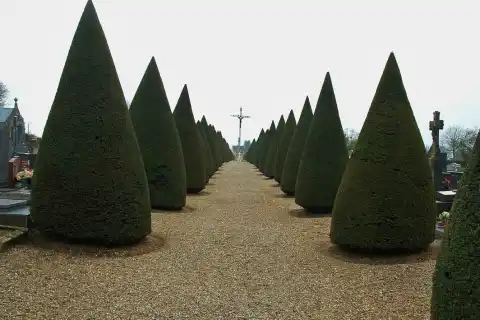 Le cimetiere de Vignacourt, Somme
