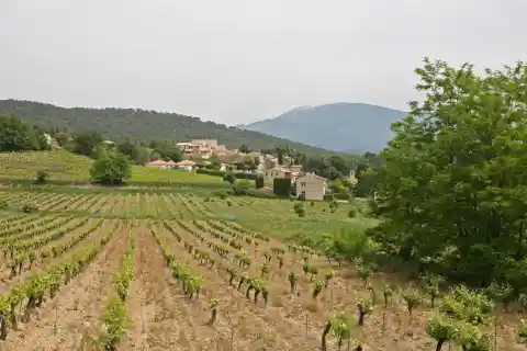 Saint-Marcellin-lès-Vaison (commune de Vaucluse) avec en fond le Mont Ventoux
