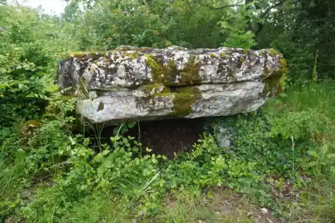 Dolmen de Pouzac dans la commune des Roches-Prémarie-Andillé